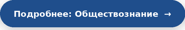общество